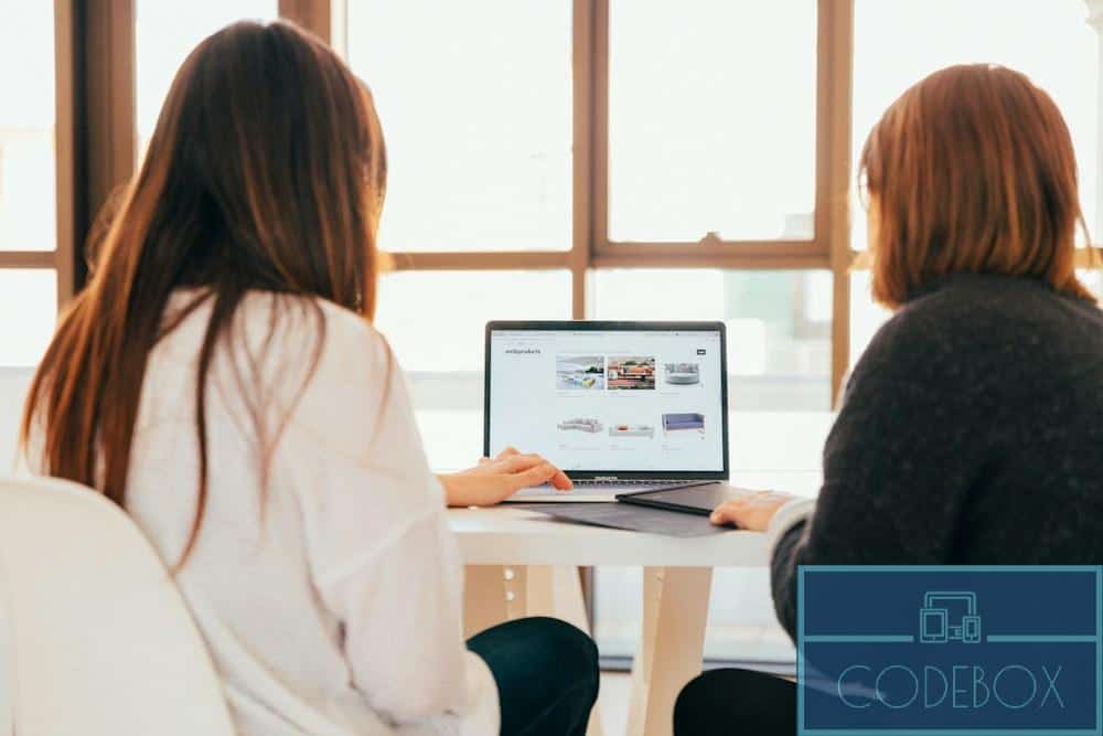 two women talking while looking at laptop computer